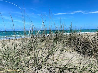 Sandee - John Brooks Beach