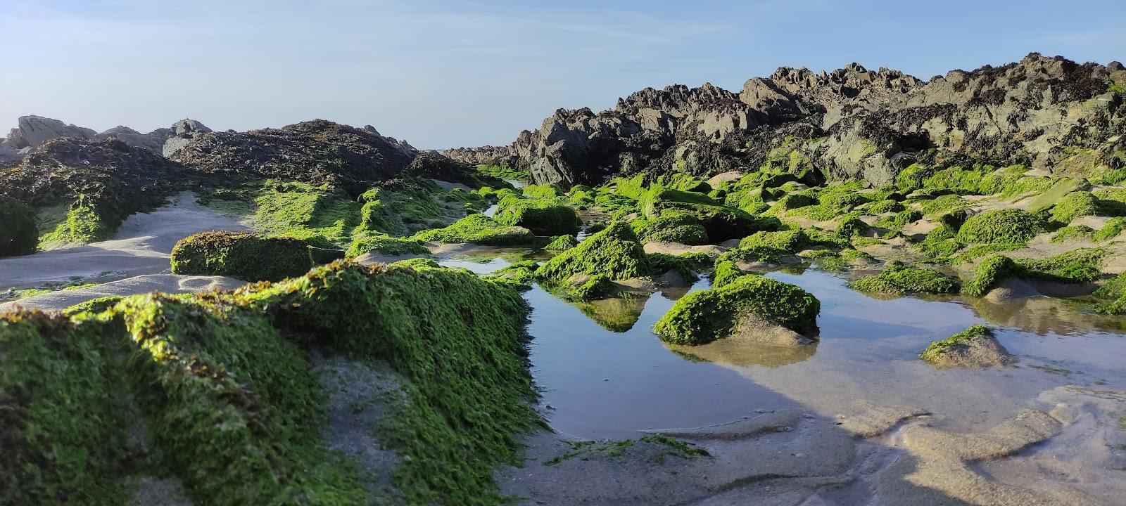 Sandee - Praia Do Bucho