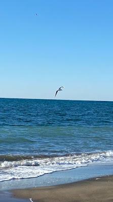 Sandee - Marina Di Cerveteri