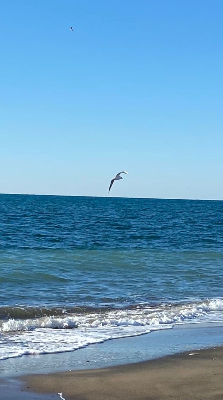 Sandee - Marina Di Cerveteri