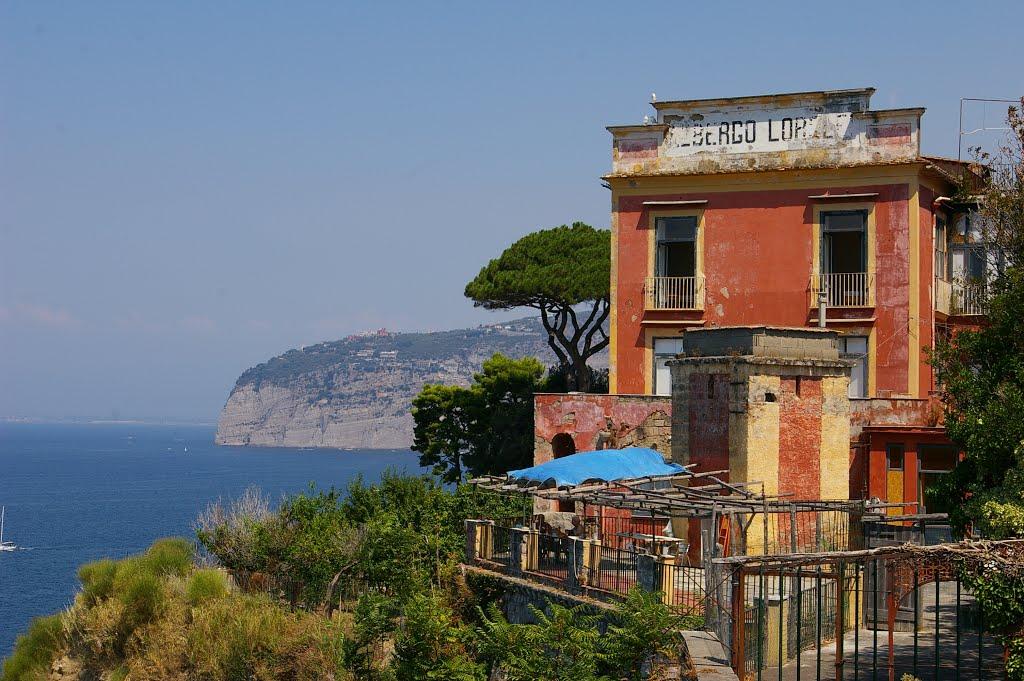 Sandee Sant'Agnello