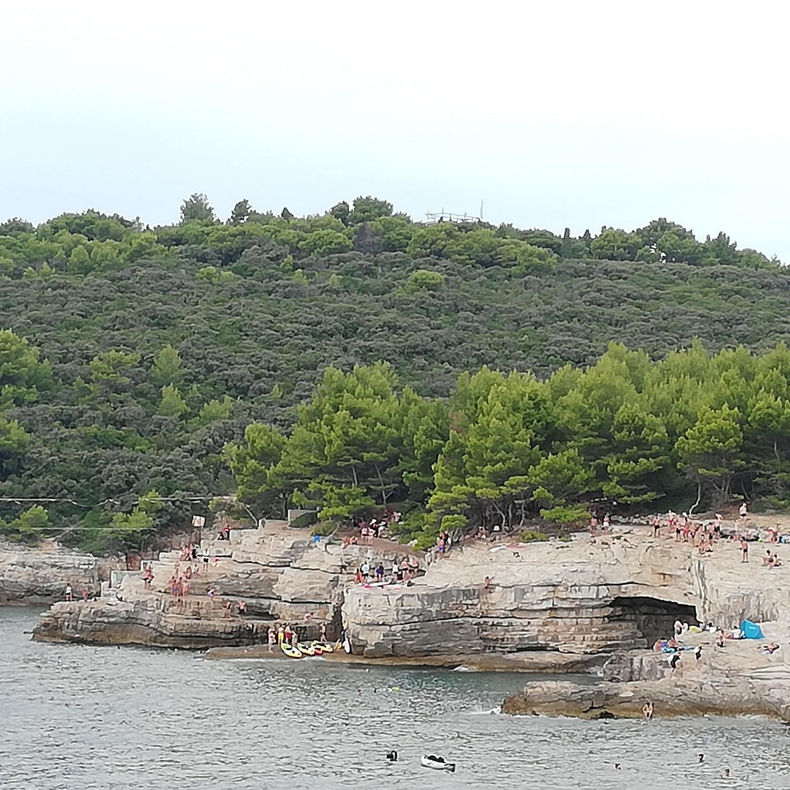 Sandee Zelenika Beach