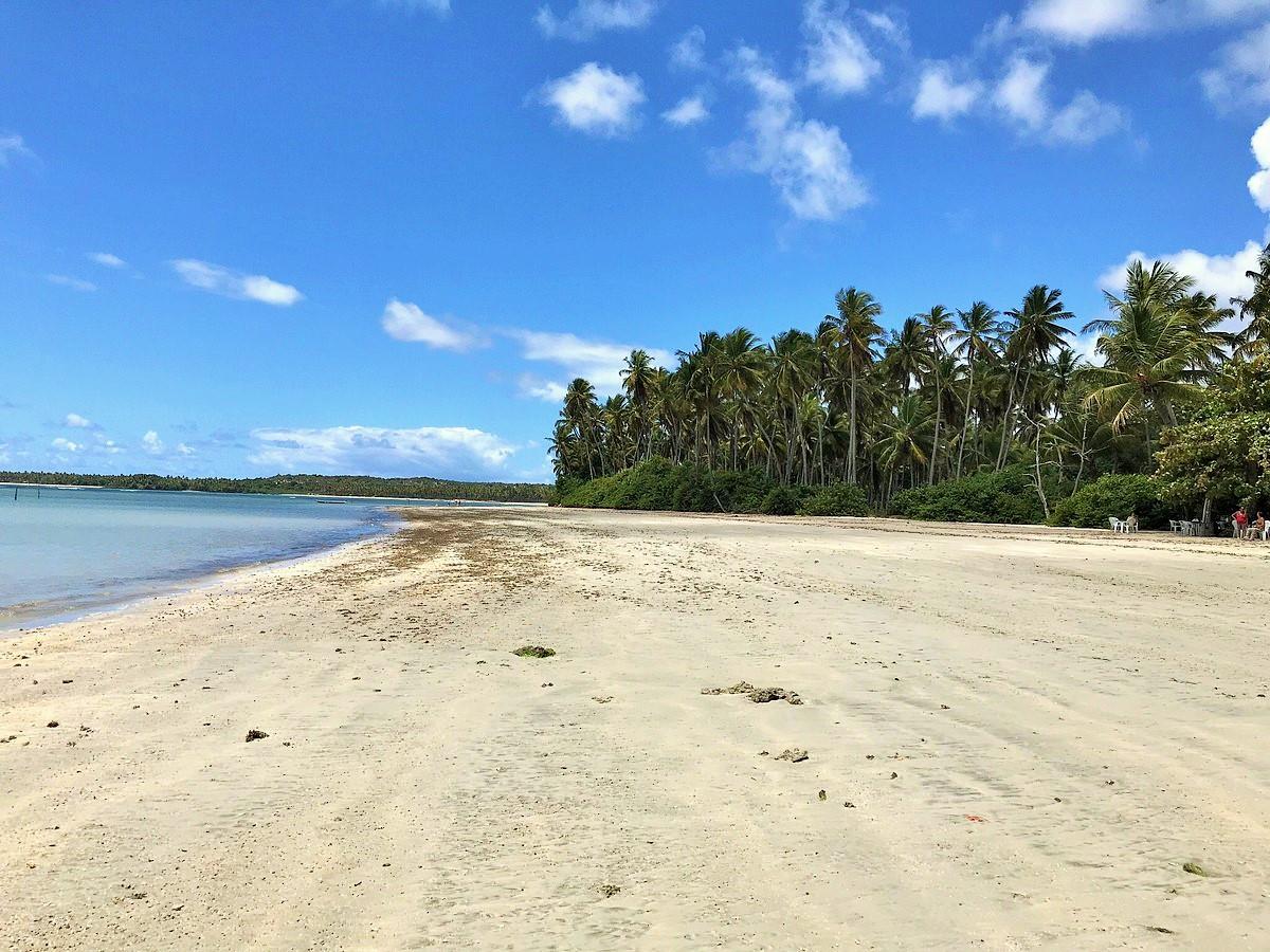 Sandee Praia De Tassimirim