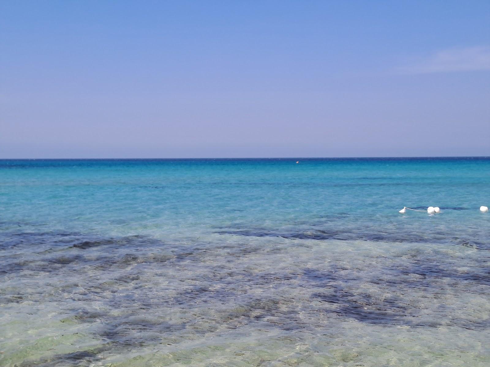 Sandee Spiaggia Libera E Attrezzata Photo