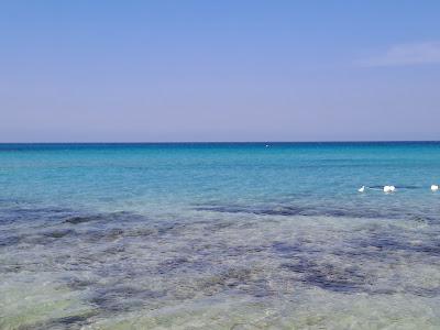 Sandee - Spiaggia Libera E Attrezzata