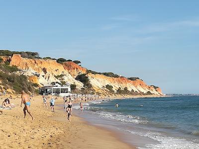 Sandee - Beach Falesia Acoteias