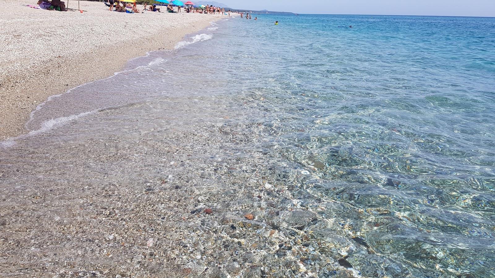 Sandee Spiaggia Di Foddini