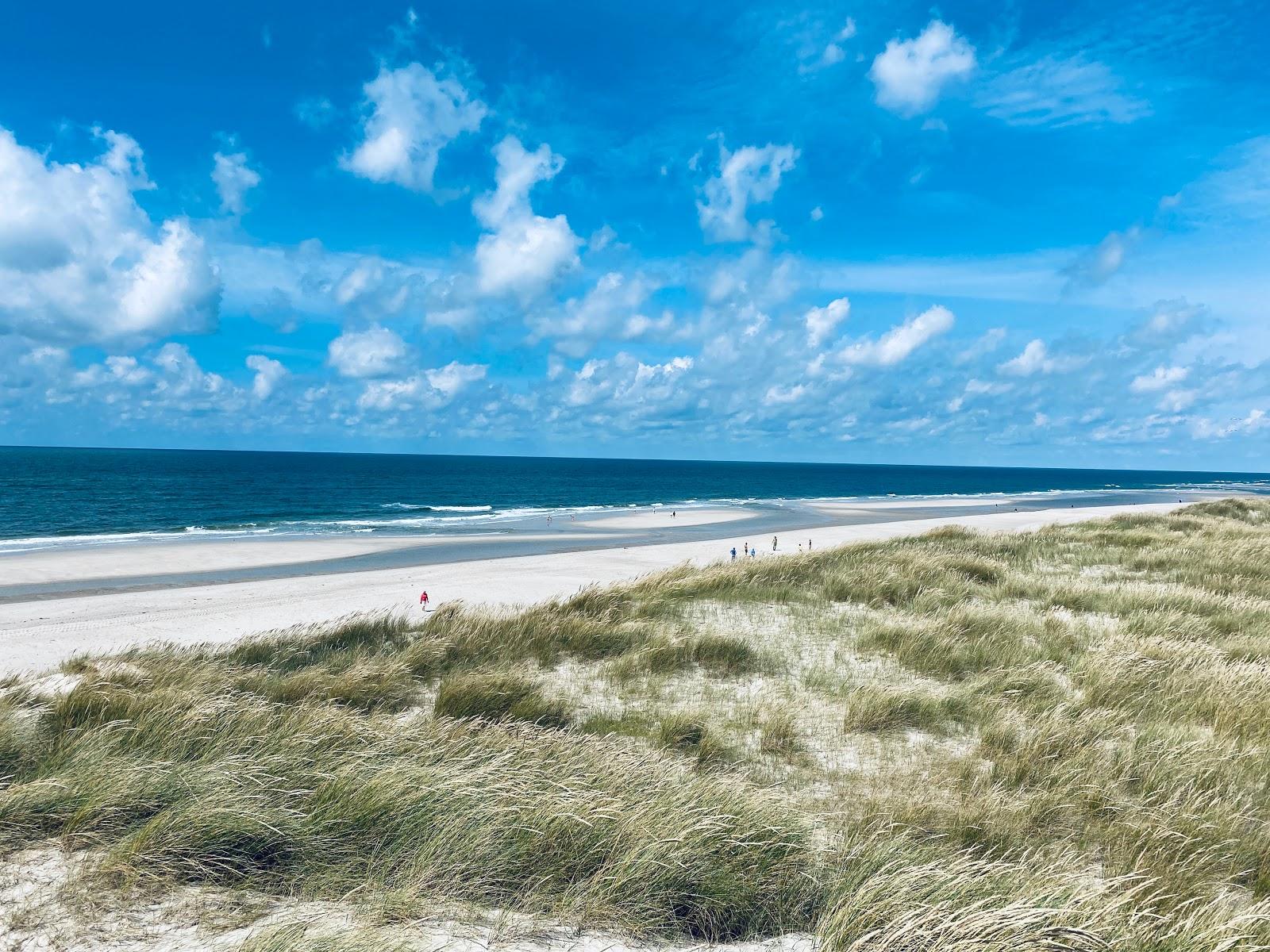 Sandee Hundestrand Kampen