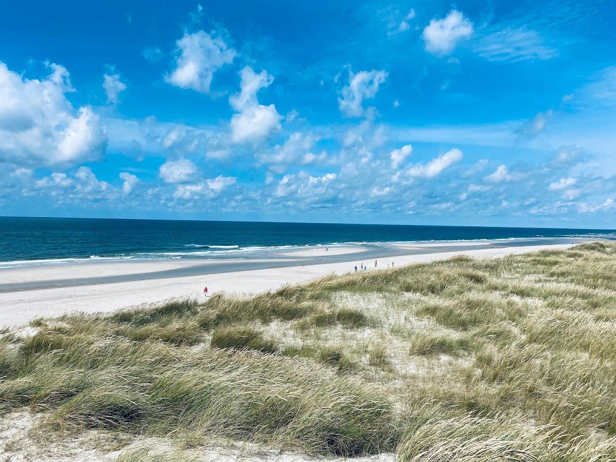 Sandee - Hundestrand Kampen