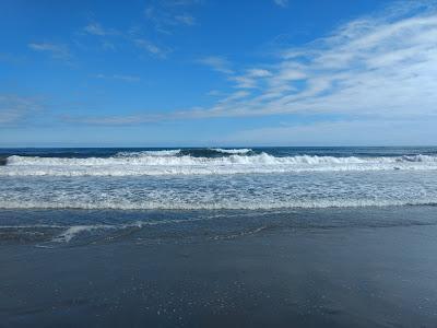 Sandee - Bonnet Shores Beach