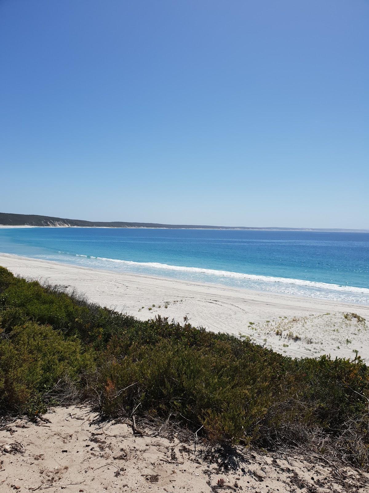 Sandee Pallinup Beach