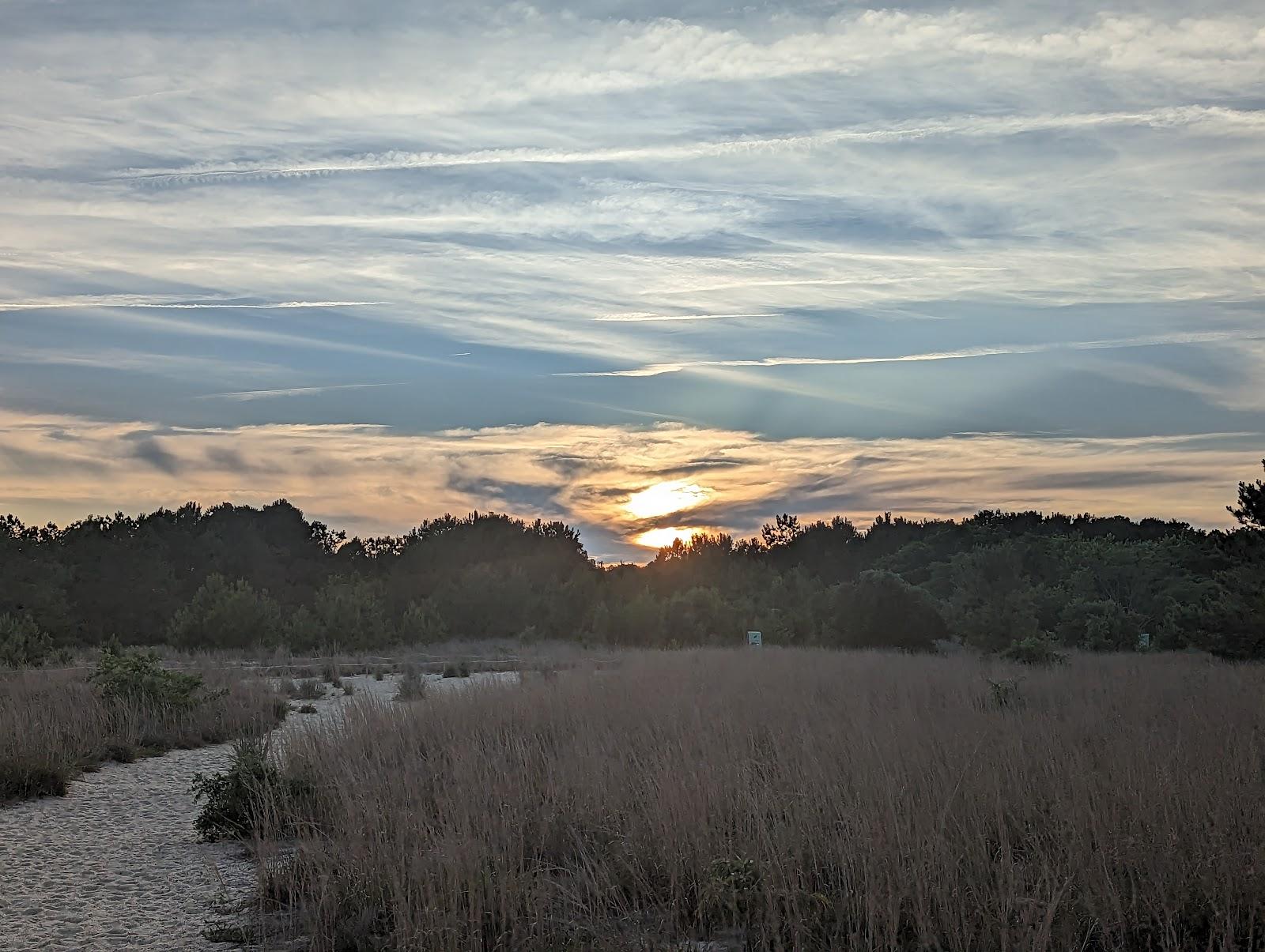 Sandee Pleasure House Point Natural Area Photo