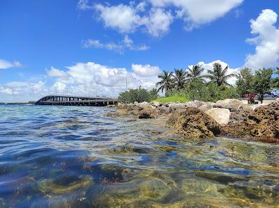 Sandee - Virginia Key Beach Park