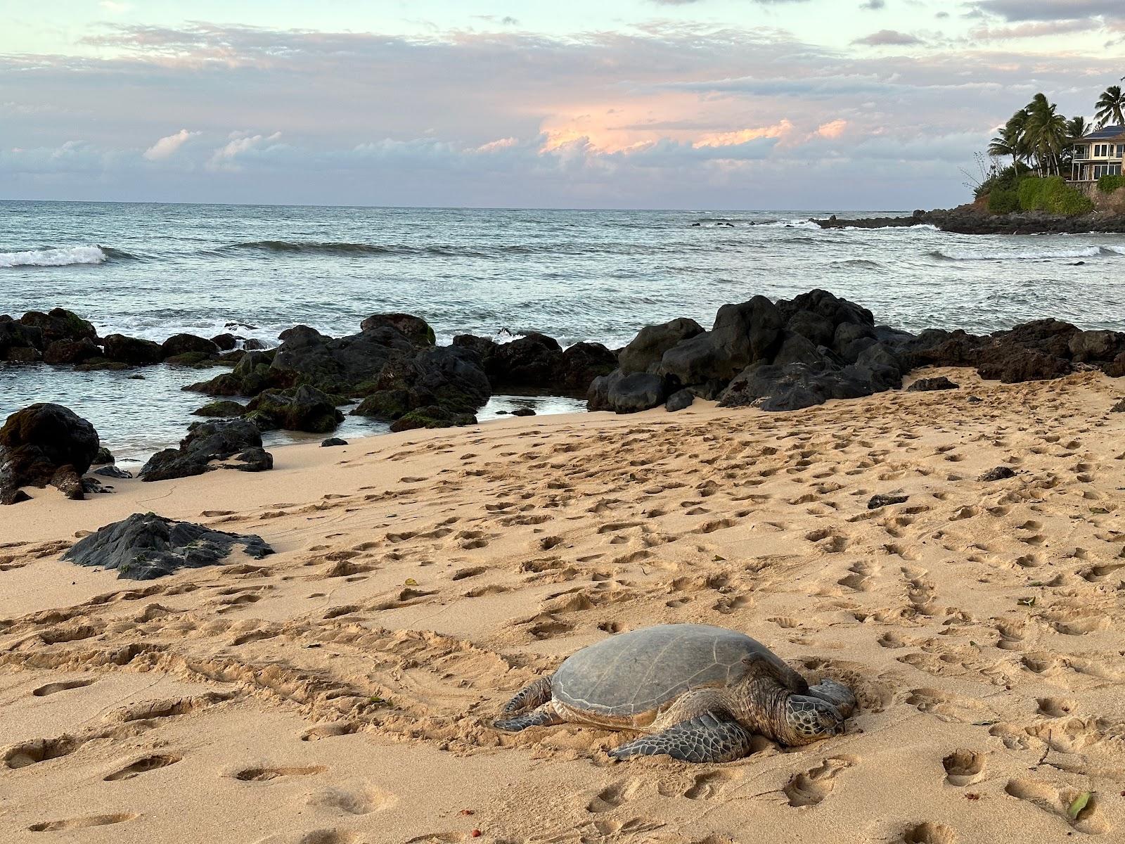 Sandee - Lower Paia Park