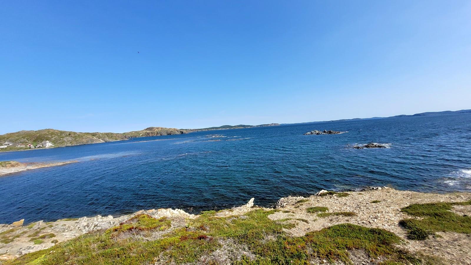 Sandee Twillingate