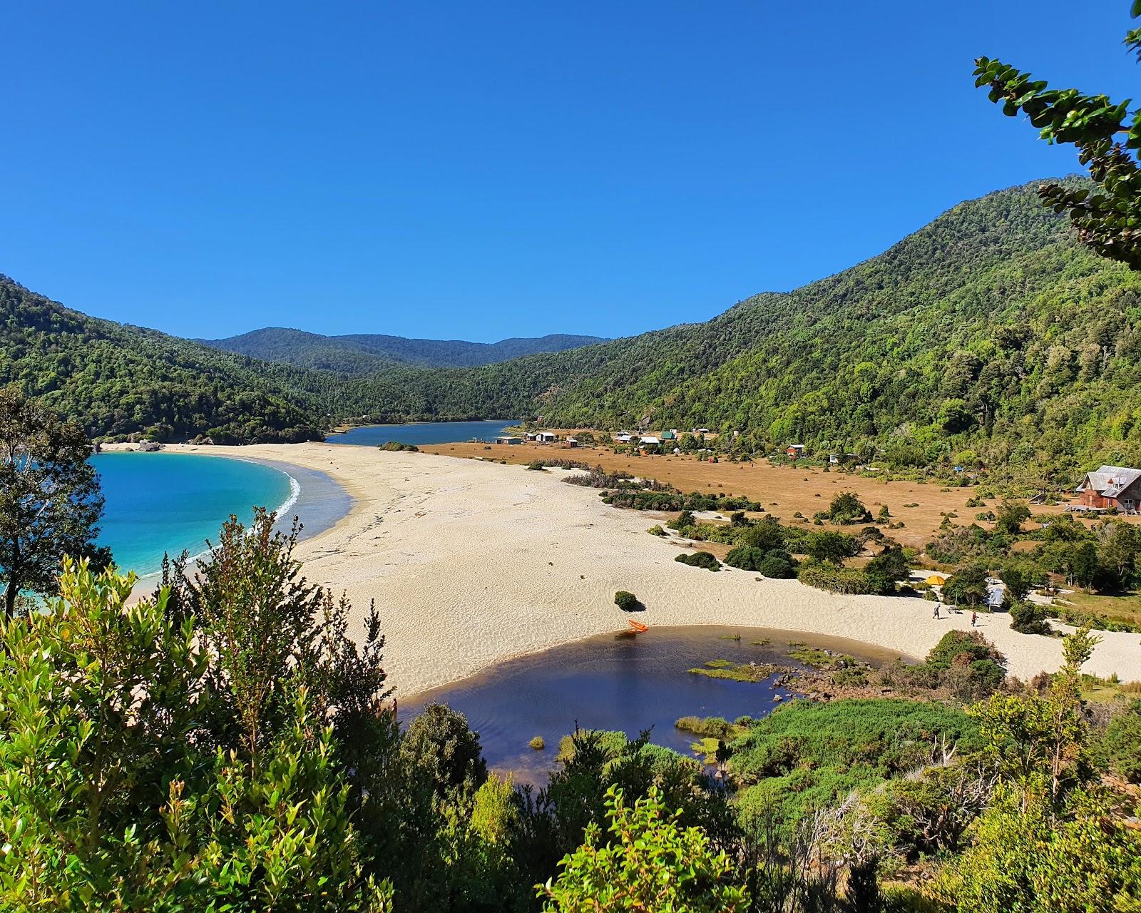 Sandee Playa Caleta Condor