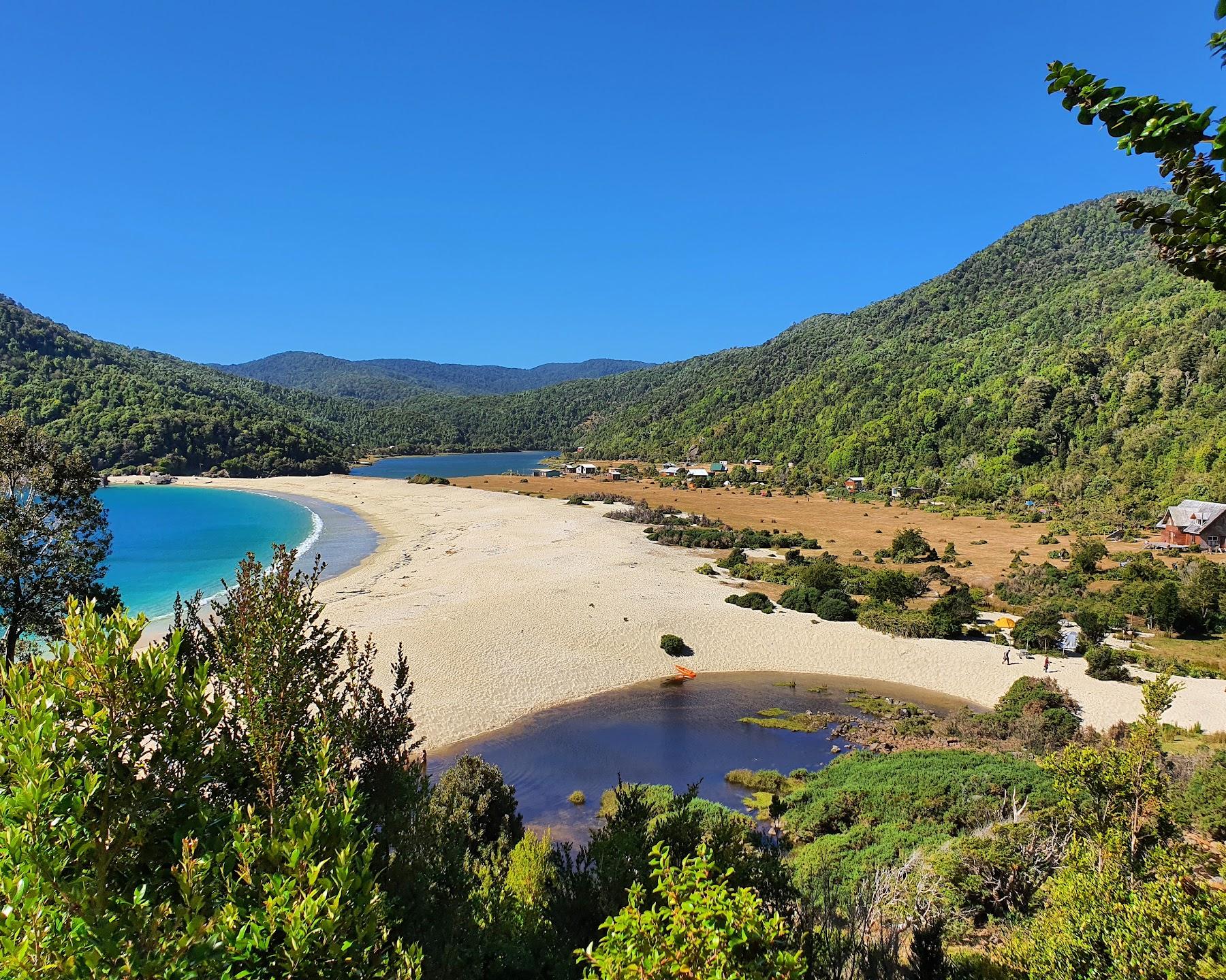 Sandee Playa Caleta Condor