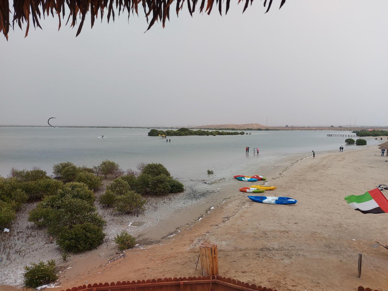 Sandee Mangrove Mouth Beach