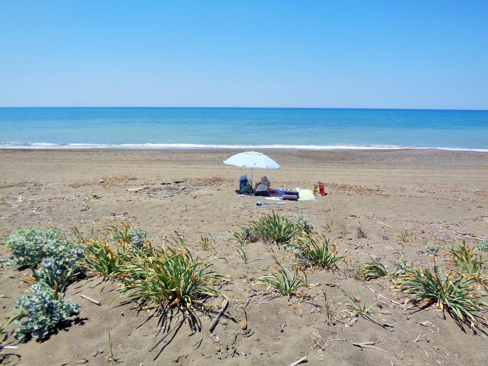 Sandee Spiaggia Il Palone