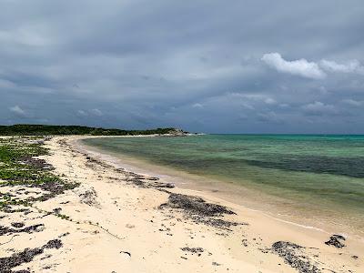 Sandee - Atwood Harbour Beach