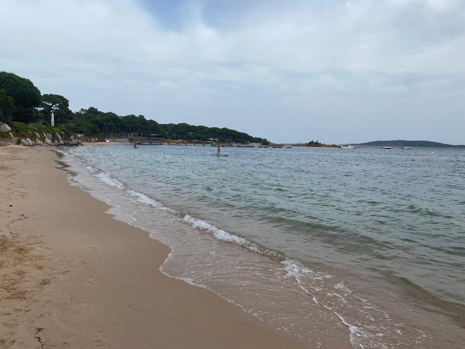 Sandee Petite Plage De Cala Rossa
