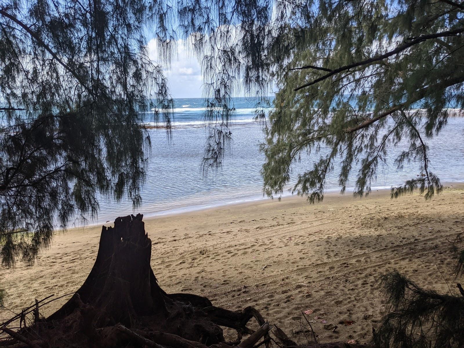 Sandee - Keʻe Beach