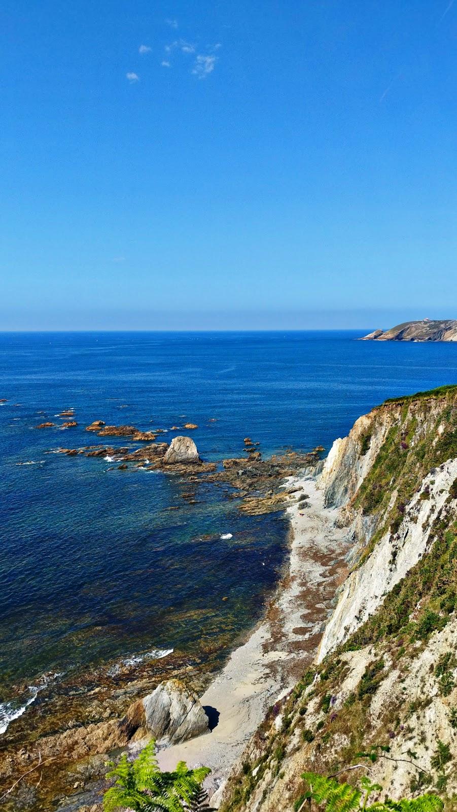 Sandee Playa De Los Campizales