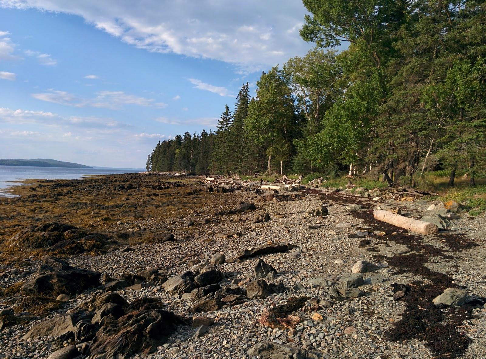 Sandee Warren Island State Park Photo