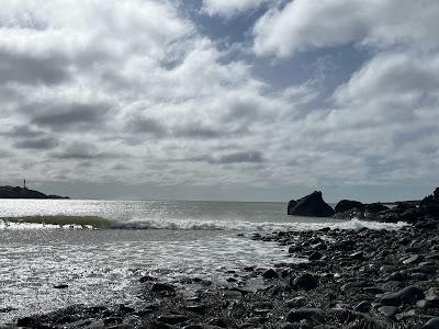 Sandee - False Harbour Beach