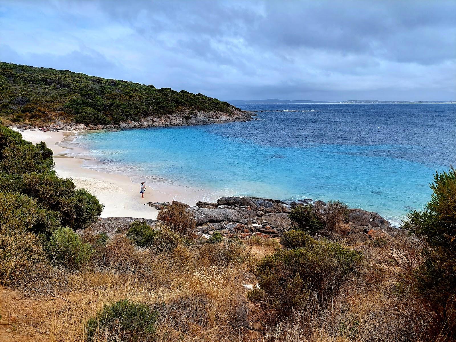 Sandee Little Harbour Beach