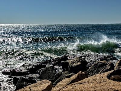 Sandee - Tappens Beach