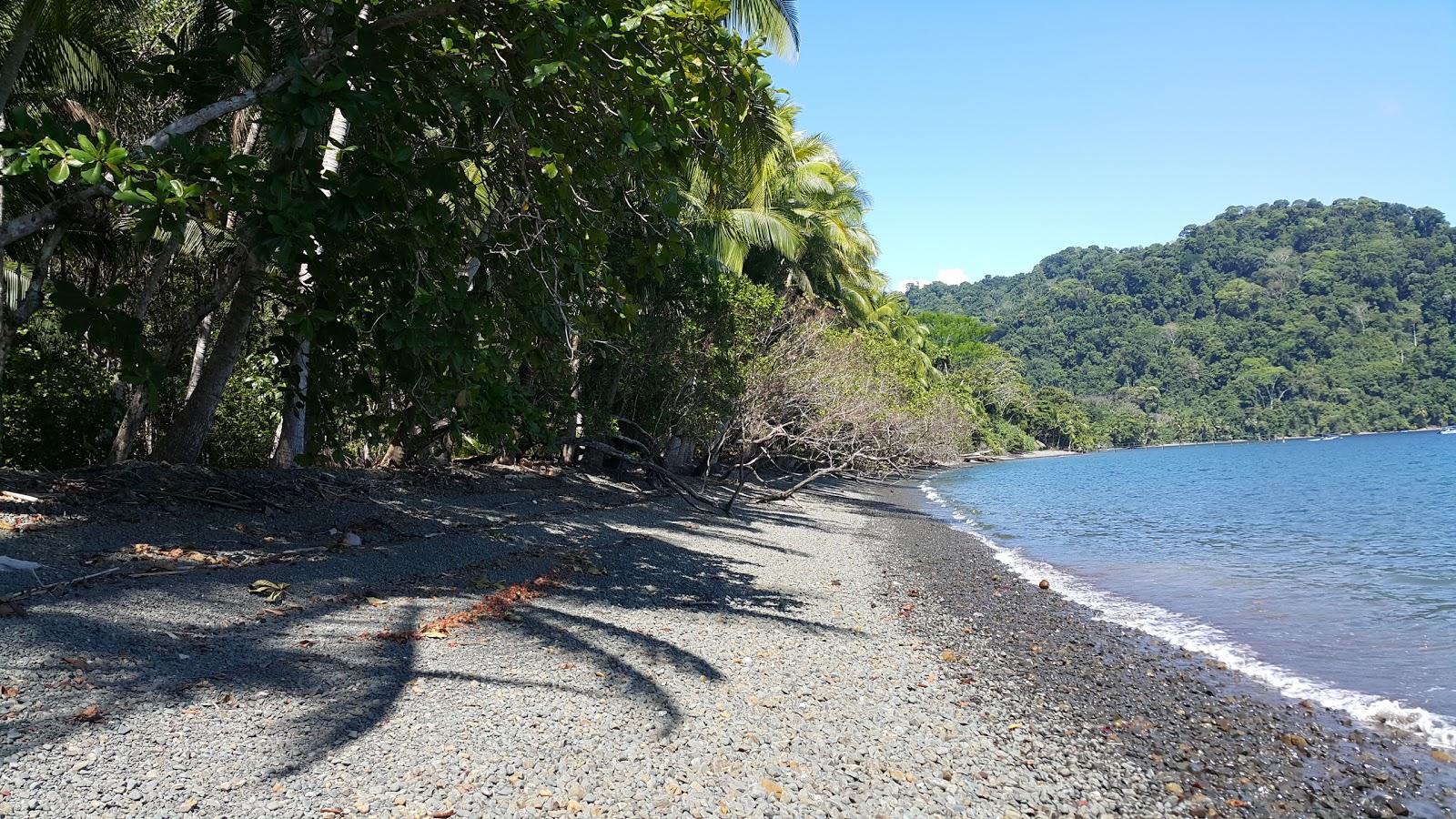 Sandee Playa Nicuesa