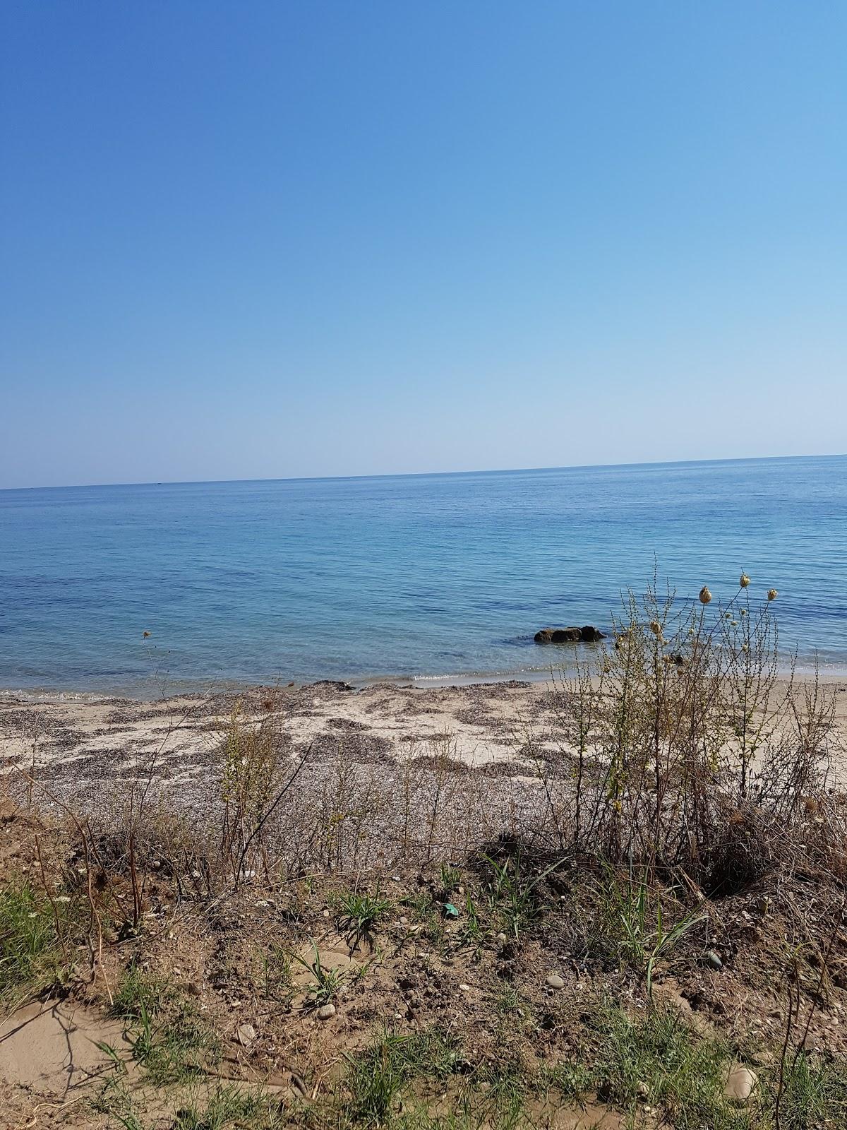Sandee The Beach