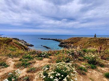 Sandee Rhos-Y-Llan Beach