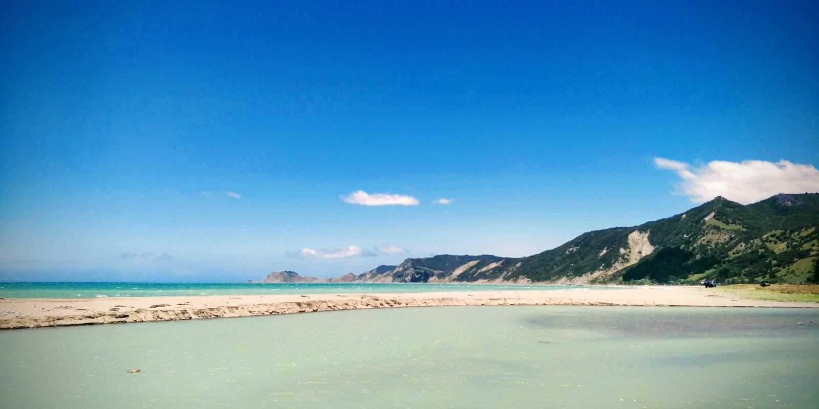 Sandee Tokomaru Bay