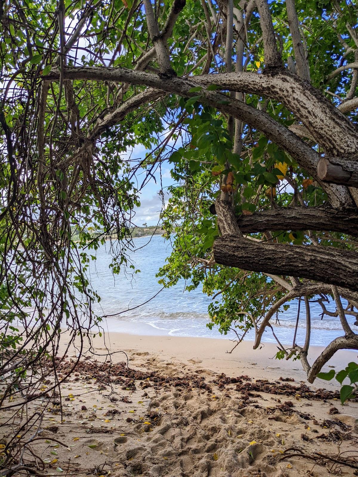 Sandee - Shoys Beach