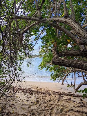 Sandee - Shoys Beach