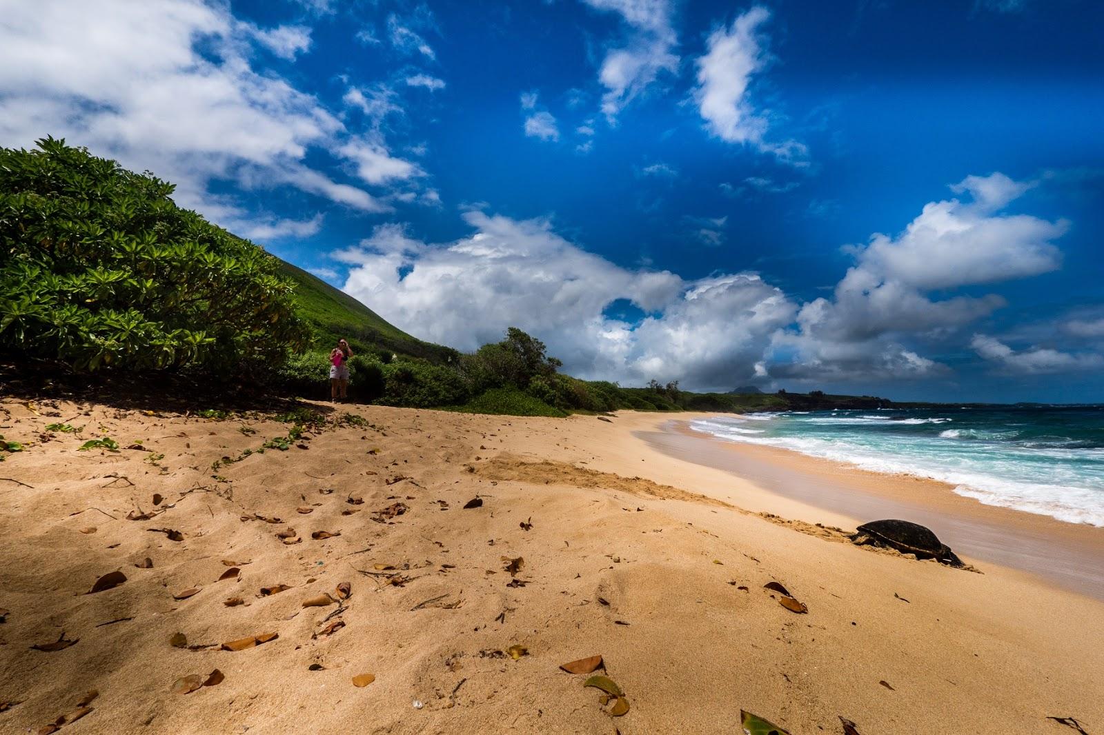 Sandee Palama Beach
