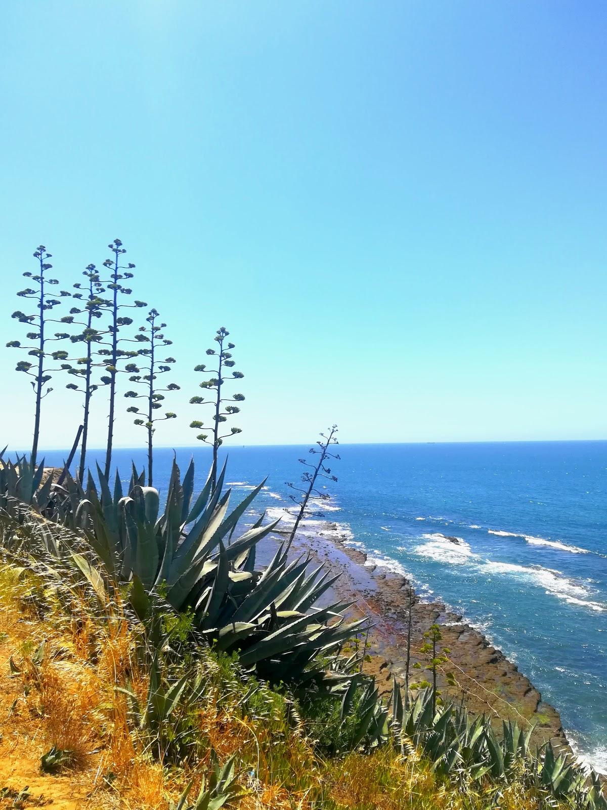 Sandee - Praia De Bafureira