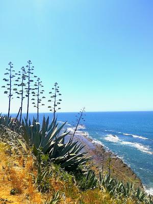 Sandee - Praia De Bafureira