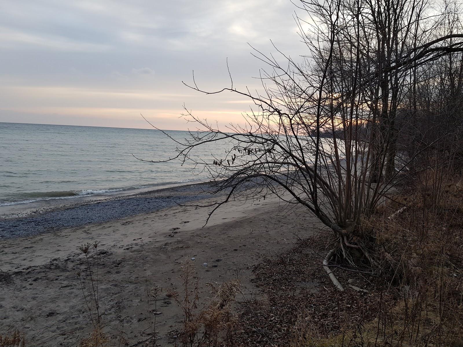 Sandee Simcoe Point