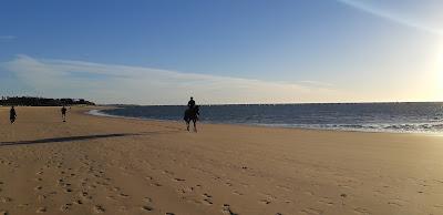 Sandee - Playa De La Calzada