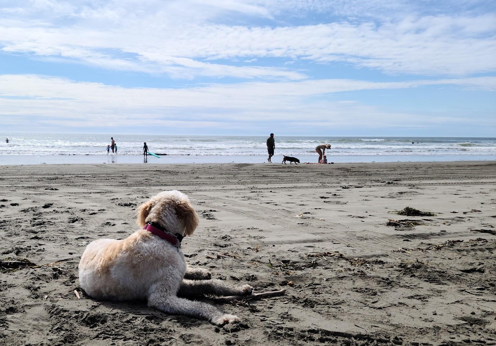 Sandee - Twin Harbors State Park