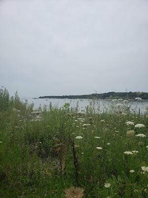 Sandee - Mackerel Cove Beach