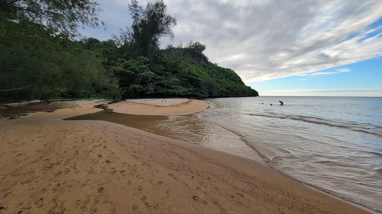 Sandee - Wyllie Beach