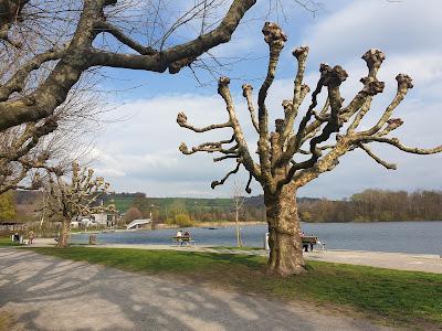 Sandee - Strandbad Sursee