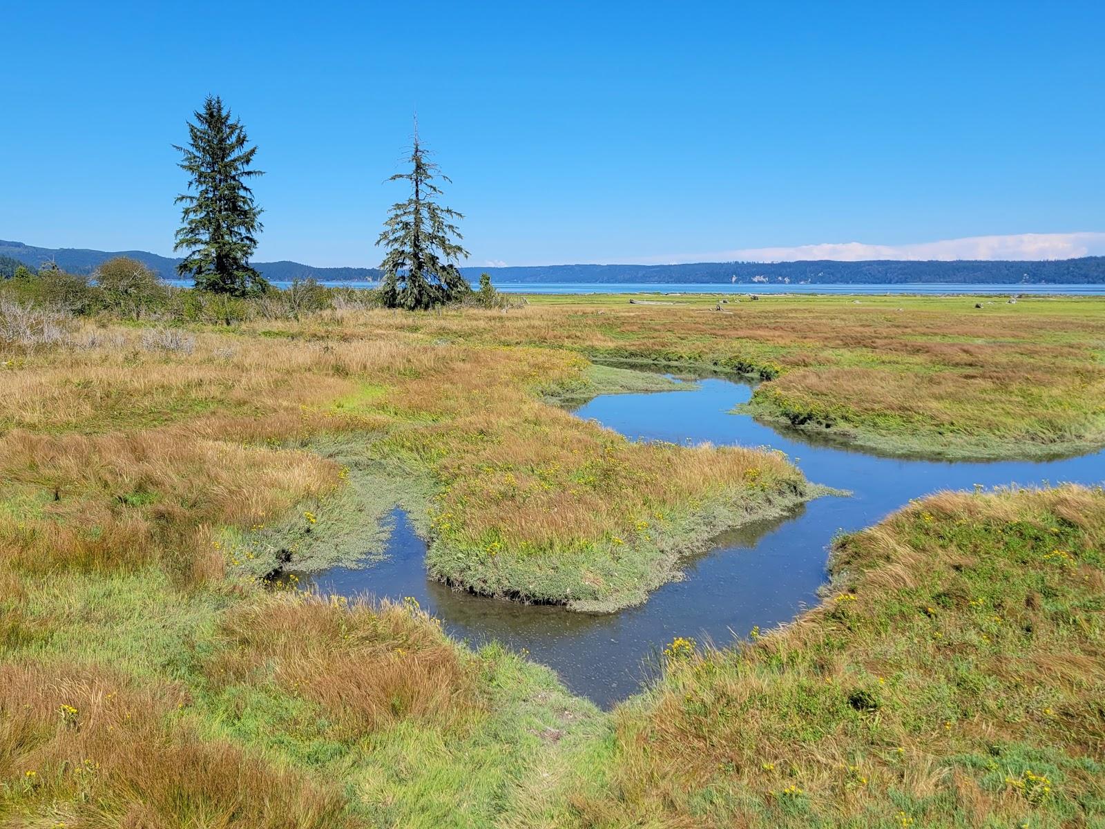 Sandee Dosewallips State Park