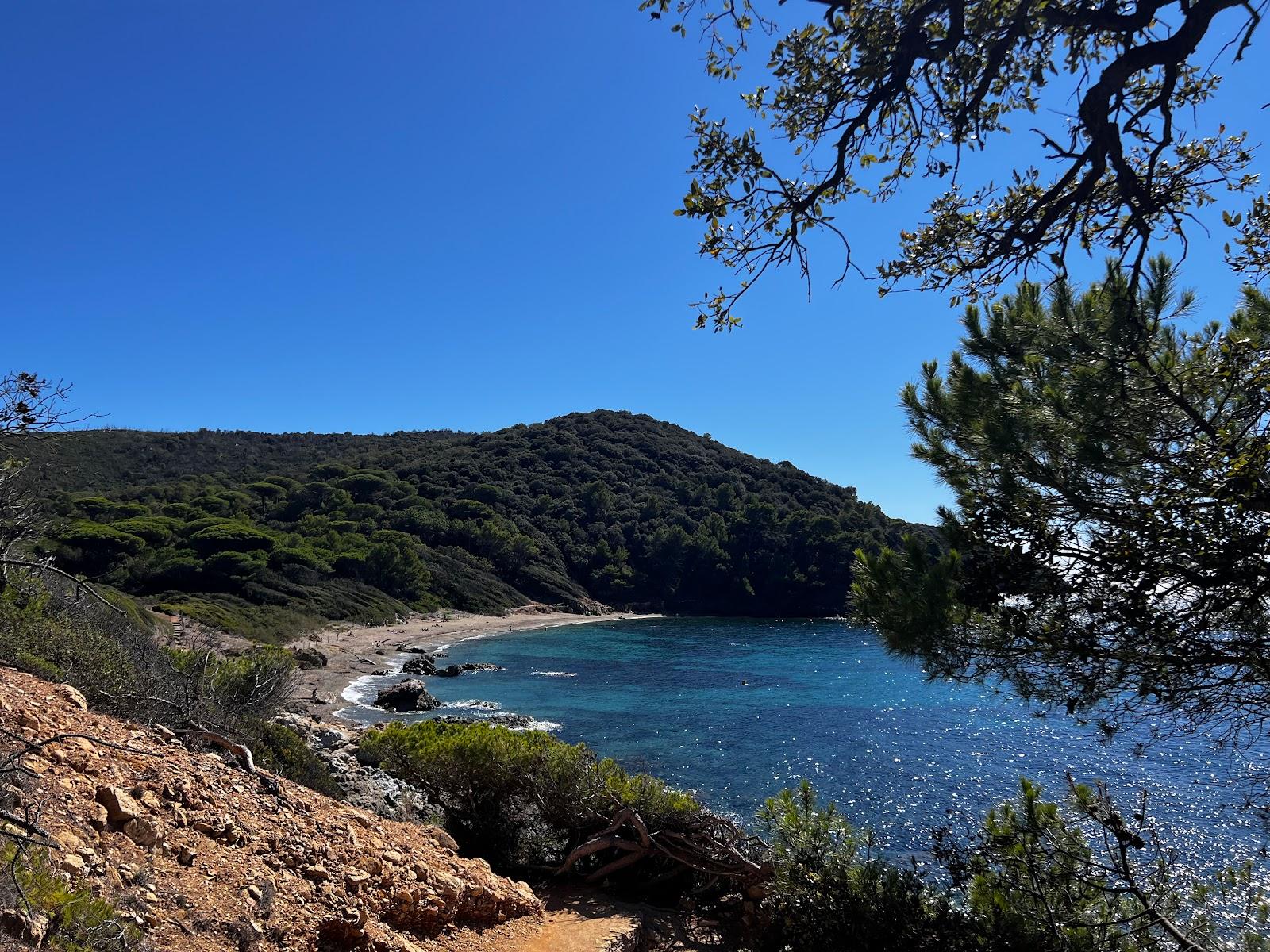 Sandee Plage Du Brouis