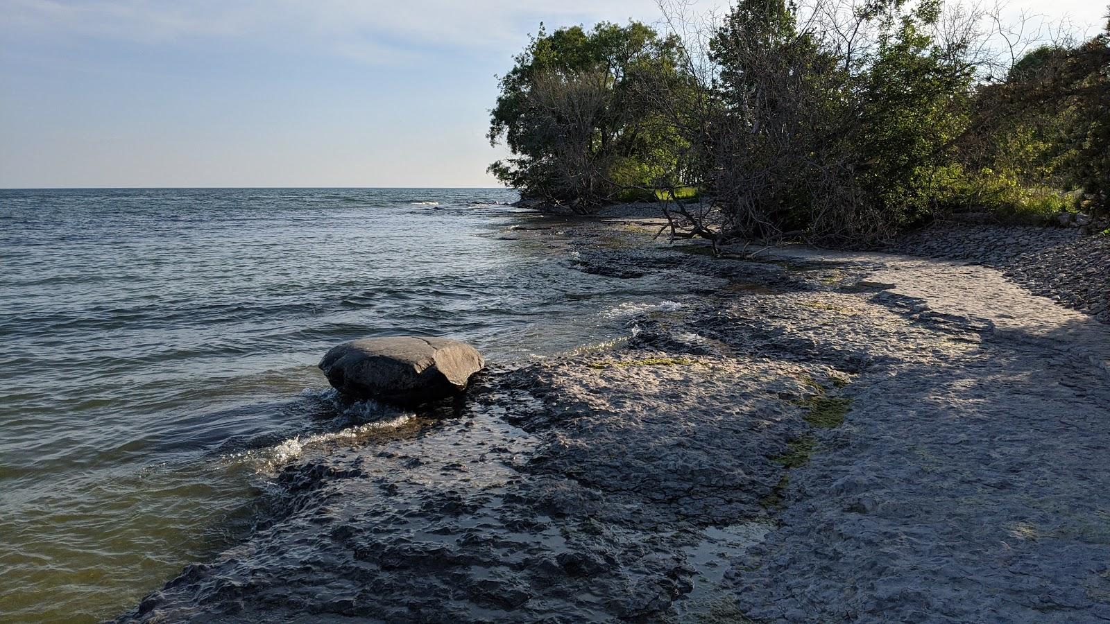 Sandee The Friends Of Presqu'Ile Park