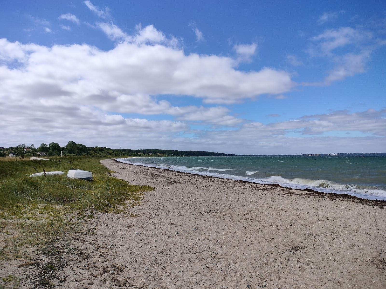 Sandee Varbjerg Strand